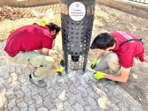 Implantación de un plan efectivo de gestión y control de las palomas urbanas por parte del Ayuntamiento