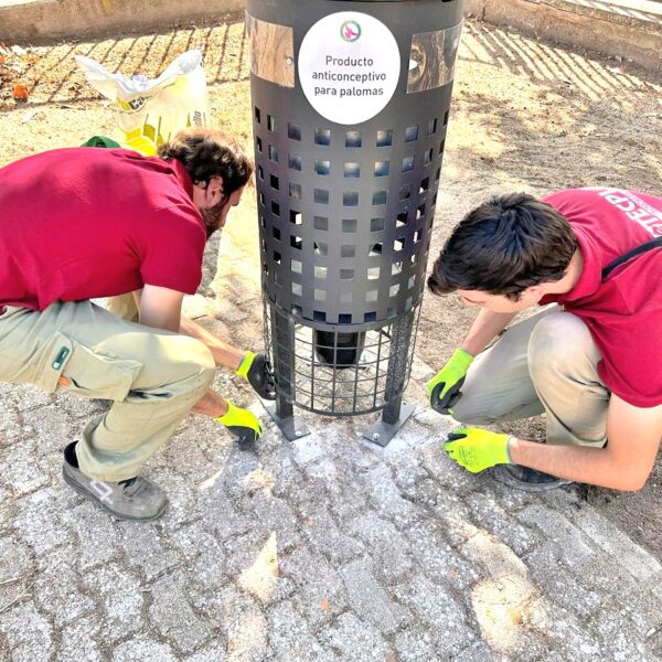 Implantación de un plan efectivo de gestión y control de las palomas urbanas por parte del Ayuntamiento