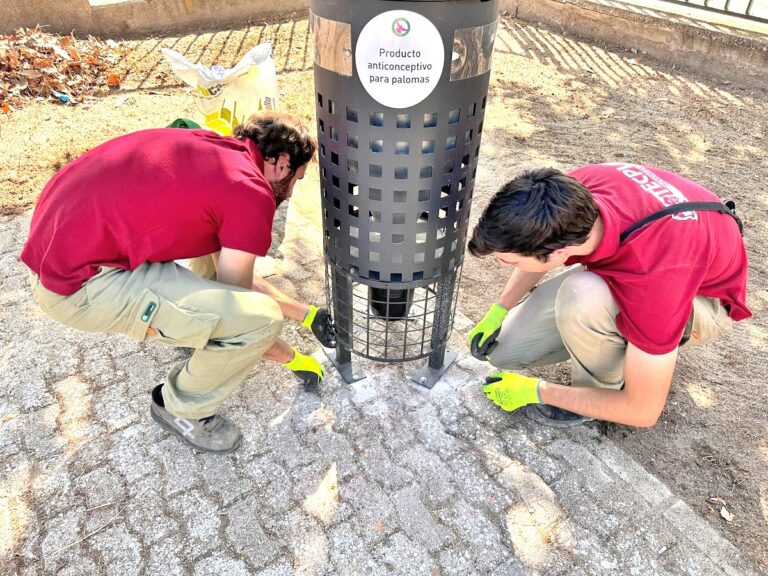 Implantación de un plan efectivo de gestión y control de las palomas urbanas por parte del Ayuntamiento