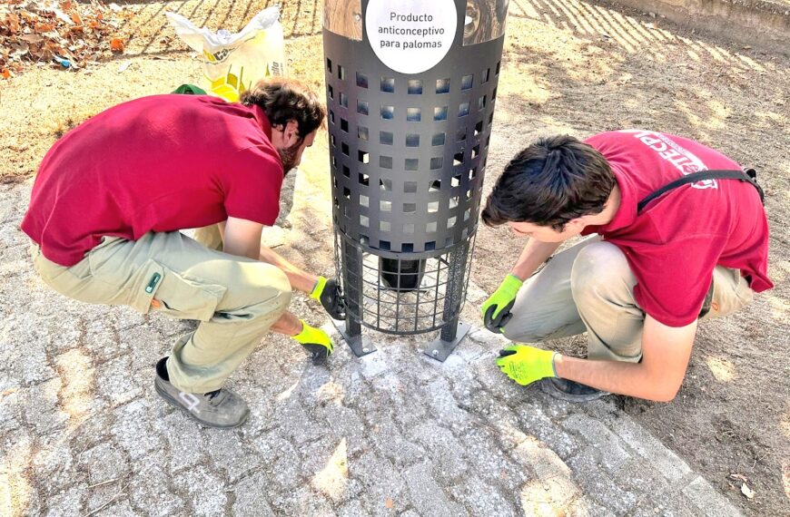 Implantación de un plan efectivo de gestión y control de las palomas urbanas por parte del Ayuntamiento