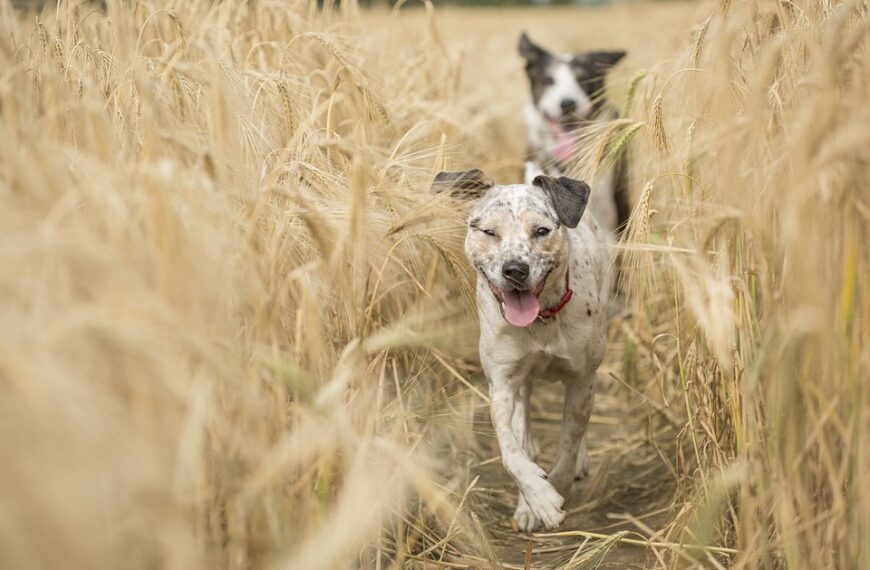 El Ejecutivo regional colabora con Hydnum Steel para cualificar al 70% de los perfiles profesionales en Puertollano
