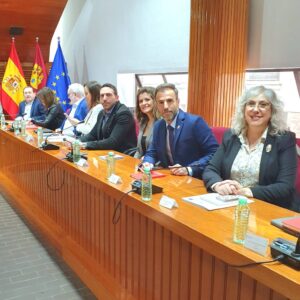 El PSOE de Puertollano solicita al PP preservar el carácter del Museo, solucionar la falta de datos y crear un área para víctimas de violencia de género.