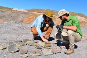 Impulso a la Geodiversidad: 1,4 millones de euros invertidos por la Diputación para el desarrollo del Geoparque en Puertollano