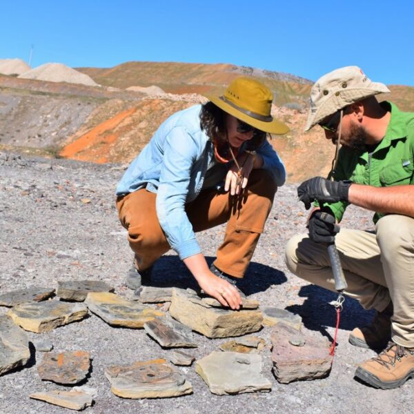 Impulso a la Geodiversidad: 1,4 millones de euros invertidos por la Diputación para el desarrollo del Geoparque en Puertollano
