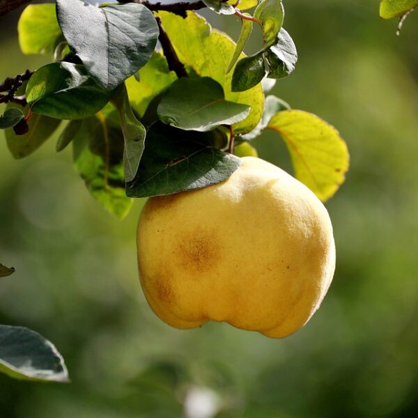 Quince centros educativos de Castilla-La Mancha destacados en la promoción de derechos de la infancia y ciudadanía global