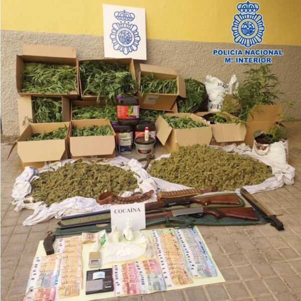 Operación «Cervantes»: desmantelan red de laboratorios de Cannabis en Puertollano