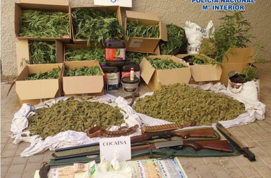 Operación «Cervantes»: desmantelan red de laboratorios de Cannabis en Puertollano