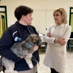 El proyecto ‘Estoy Contigo’ de Ciudad Real: una innovadora recuperación para víctimas de violencia de género