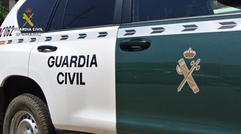 Aprehendido tras el asalto a una tienda de herramientas en Argamasilla de Calatrava