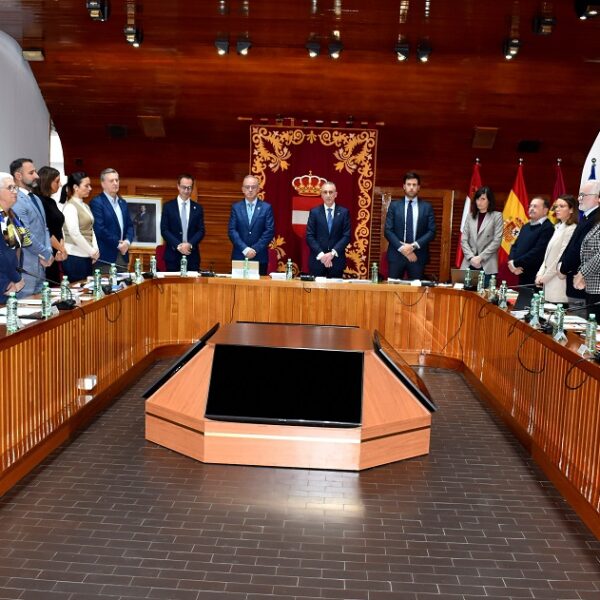 Compromiso Renovado: La Corporación Municipal intensifica su lucha contra la violencia de género y la creación de áreas de juego inclusivas para la infancia