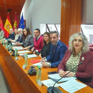 El PP de Puertollano excluye a los miembros del PSOE de su participación en los Consejos Escolares