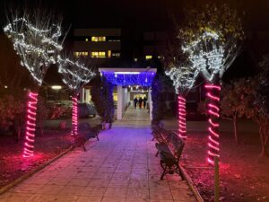 Iluminación Festiva Embellece la Entrada de «Pocitas del Prior» por Iniciativa del Ayuntamiento
