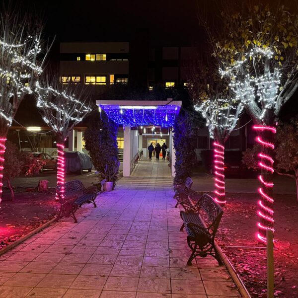 Iluminación Festiva Embellece la Entrada de «Pocitas del Prior» por Iniciativa del Ayuntamiento