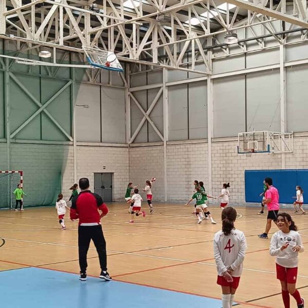 Jornada de dispares resultados para el CD Vivela Quijote