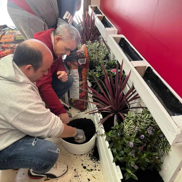 El Museo García Rodero se viste de verde gracias a la colaboración de los alumnos de Aspades