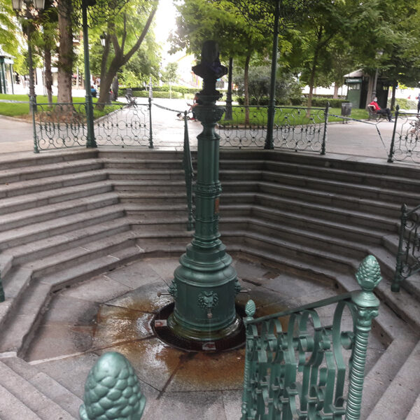 Investigación centrada en descubrir los motivos tras la reducción del flujo en la Fuente Agria