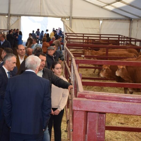Almodóvar del Campo da la Bienvenida a Puertollano como Ciudad Invitada en la XV Edición de la Feria La Cuerda