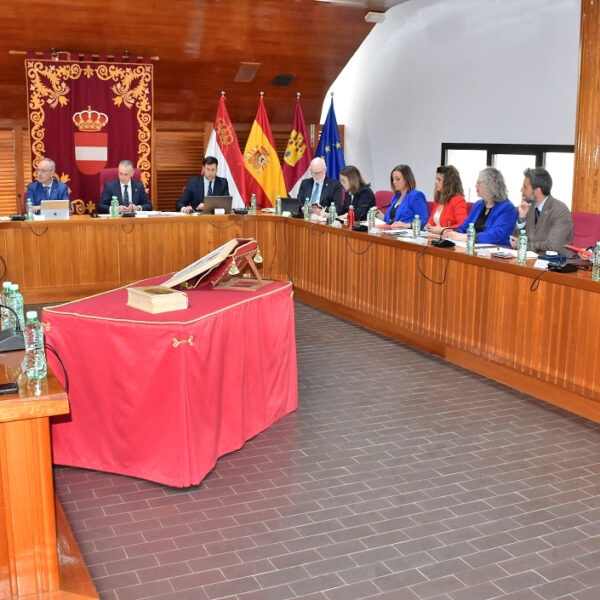 La Sesión Plenaria de Marzo se Centrará en la Reestructuración de la Plantilla y el Análisis de la Relación de Puestos de Trabajo