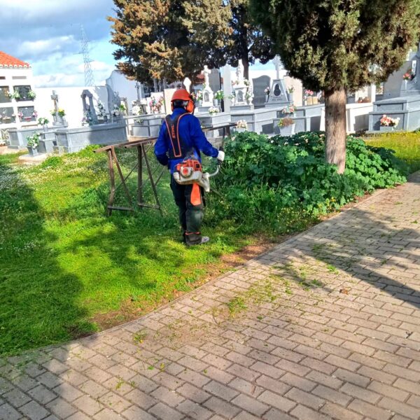 Operativo especial de acondicionamiento en el cementerio de «El Villar» en vísperas del Día del Padre