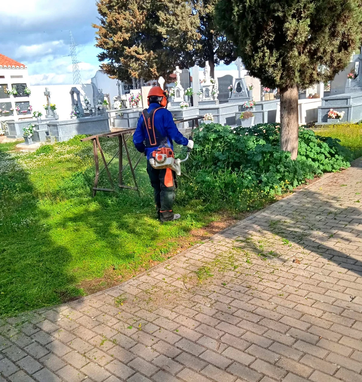 Operativo especial de acondicionamiento en el cementerio de «El Villar» en vísperas del Día del Padre