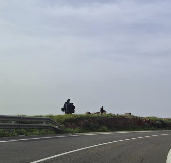 Renovación Total de la Señalización Horizontal en la Carretera Variante del Minero