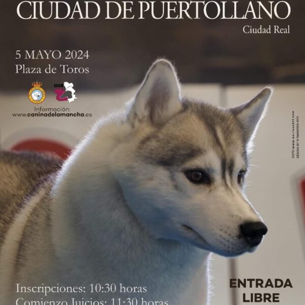 I Concurso Nacional Canino será el broche de oro en la Clausura de la Feria de Mayo en Puertollano