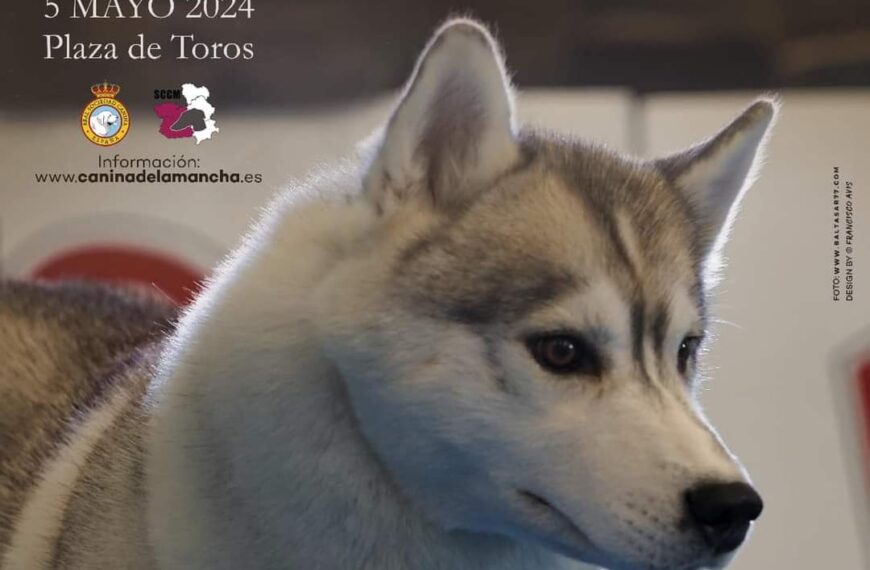I Concurso Nacional Canino será el broche de oro en la Clausura de la Feria de Mayo en Puertollano