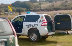 Investigado por Atacar a Gatos con Carabina de Aire Comprimido en Puebla del Príncipe