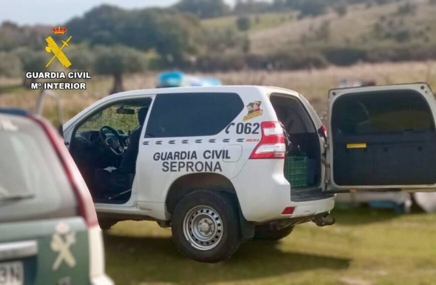 Investigado por Atacar a Gatos con Carabina de Aire Comprimido en Puebla del Príncipe