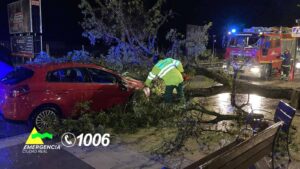 Los bomberos de la provincia de Ciudad Real realizan 31 intervenciones por la borrasca Nelson