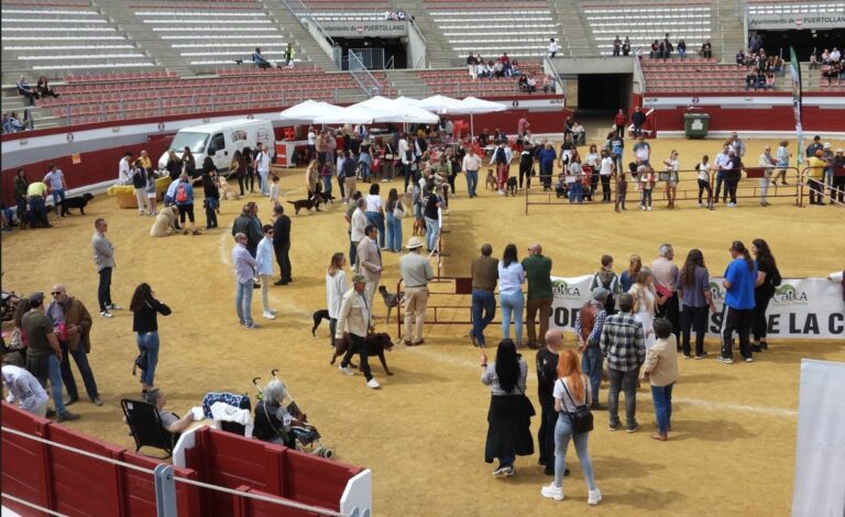 I Concurso Nacional Canino en Puertollano: 56 Perros Compiten por el Título