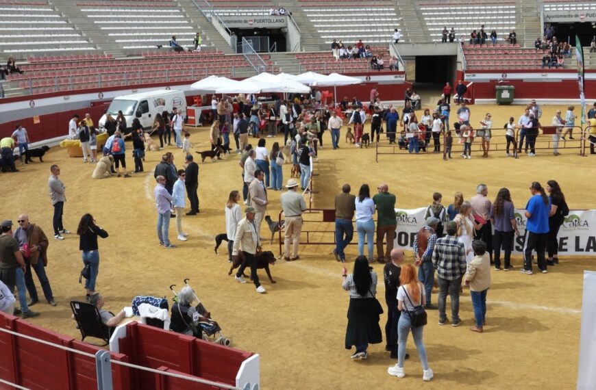I Concurso Nacional Canino en Puertollano: 56 Perros Compiten por el Título