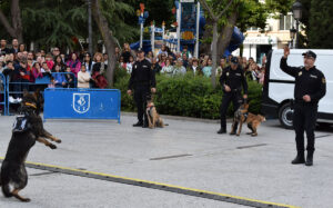 La Policía Nacional Celebra el Día del Santo Voto con una Exhibición de Adiestramiento de Guías Caninos