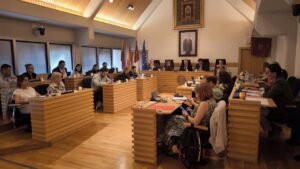 El Pleno Municipal de Ciudad Real Solicita al Gobierno la Permanencia de la Conexión Ferroviaria con Granada
