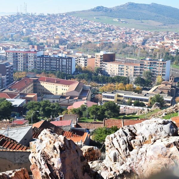 Inauguración de la Renovación de Órganos del Consejo Local de Sostenibilidad Programada para el 20 de Junio
