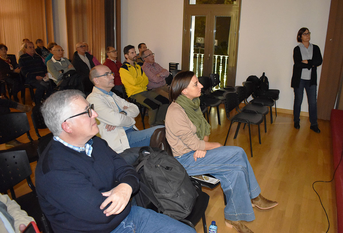 El Descubrimiento de la Pompeya Paleobotánica: Un Viaje de 303 Millones de Años en Puertollano