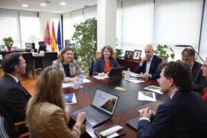 El Gobierno de Castilla-La Mancha refuerza su respaldo al innovador proyecto ErasmoPower2X para la creación de una planta de energía fotovoltaica e hidrógeno verde en Saceruela