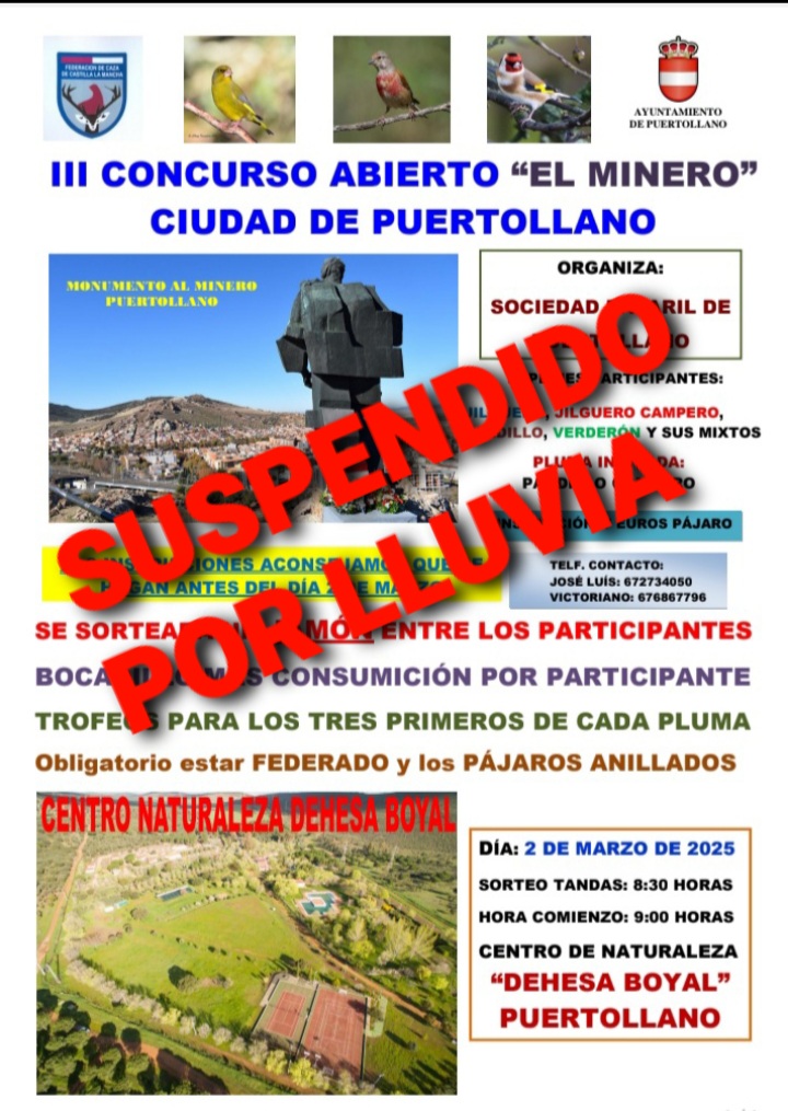 CANCELADO: El evento de canto de aves silvestres del domingo debido a pronósticos de lluvia