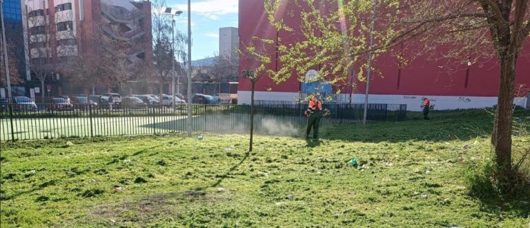 Inician Trabajos de Limpieza en Zonas Verdes del Sector Norte Urbano