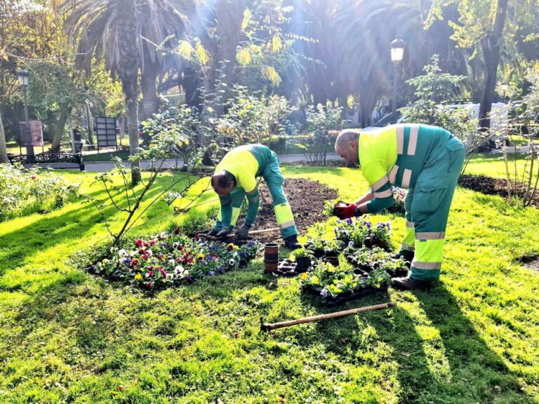 Licitación municipal enfocada en la revitalización de espacios verdes en barriadas mediante el mantenimiento de parques y jardines
