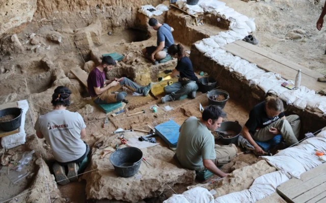 Los caballos más antiguos del linaje ibérico salen a la luz en las excavaciones de La Malia en Tamajón