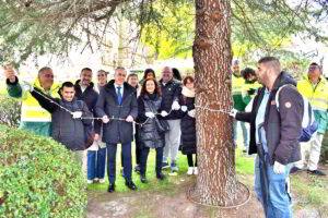 Iluminando la Comunidad: La Colaboración de la Fundación Fuente Agria y Fertiberia Embellece la Parroquia de la Asunción