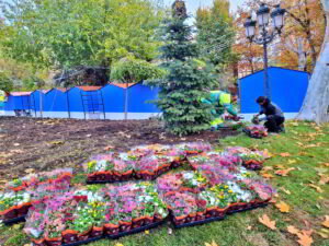 El Paseo de San Gregorio se engalana con cientos de plantas para las festividades navideñas gracias a la iniciativa del Ayuntamiento