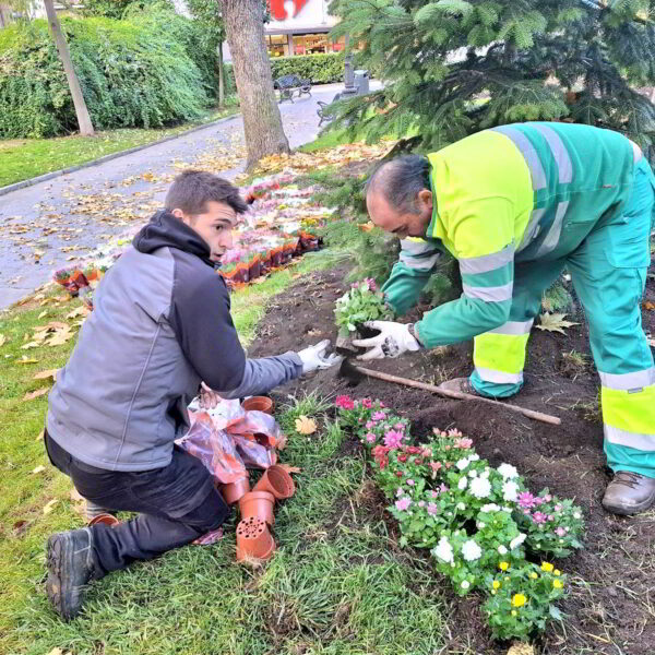 Adquisición de biotrituradora optimizará la gestión de residuos vegetales en parques y jardines locales