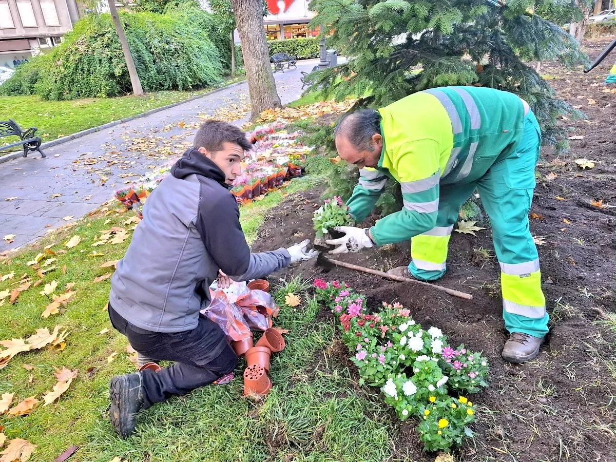 Adquisición de biotrituradora optimizará la gestión de residuos vegetales en parques y jardines locales