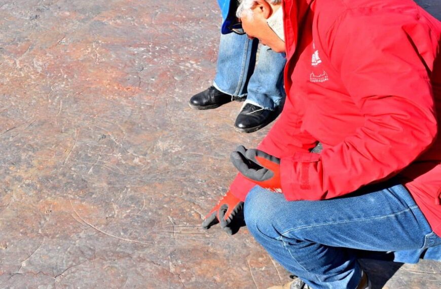 Descubriendo la Historia Natural y Minera: Nuevas Rutas Guiadas en el Geoparque Volcanes de Calatrava