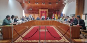 Aprobación de Modificación Presupuestaria en Puertollano: 2,6 Millones de Euros para Mejorar la Ciudad