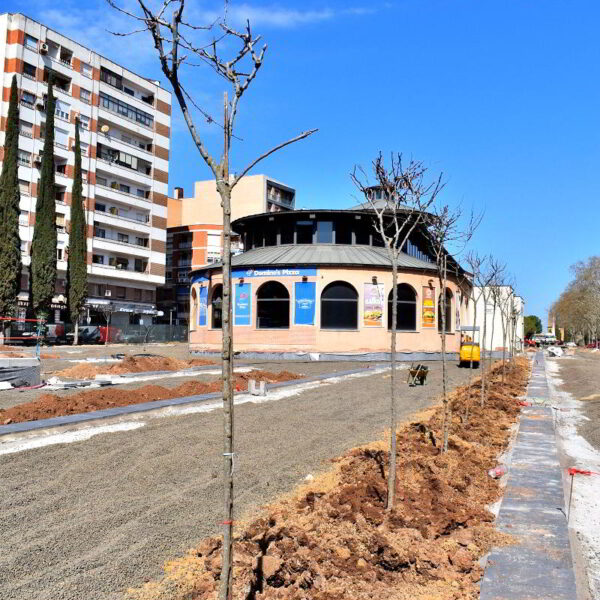 Inicia la Renovación Verde con la Plantación de 410 Árboles en el Paseo del Bosque