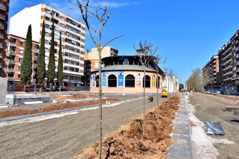 Inicia la Renovación Verde con la Plantación de 410 Árboles en el Paseo del Bosque