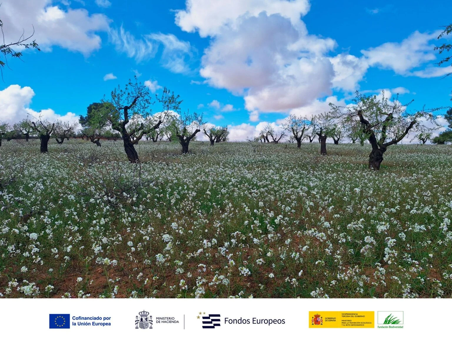 Nace el proyecto ESIL para impulsar la bioeconomía y los servicios ecosistémicos en Castilla-La Mancha